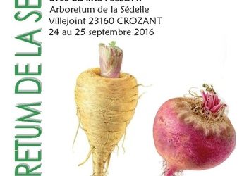 Samedi 24 et dimanche 25 Septembre 2016 – STAGE D’AQUARELLE BOTANIQUE