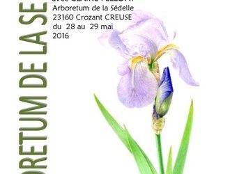 Samedi 28 et dimanche 29 mai 2016 – STAGE D’AQUARELLE BOTANIQUE