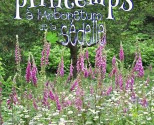 Lundi 16 mai 2016 – PRINTEMPS à L’ARBORETUM