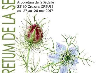 Samedi 27 et dimanche 28 mai 2017 – STAGE D’AQUARELLE BOTANIQUE