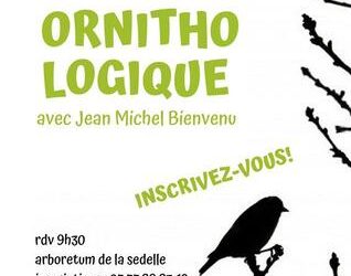 Dimanche 16 juin 2019  – BALADE ORNITHOLOGIQUE