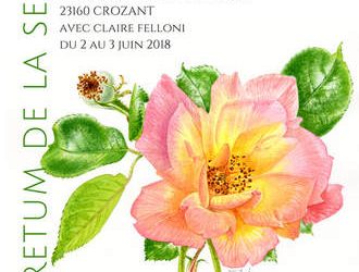 Samedi 2 et dimanche 3 juin 2018 – STAGE D’AQUARELLE BOTANIQUE