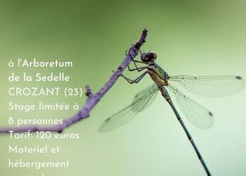 Samedi 12 et dimanche 13  juin – STAGE PHOTOGRAPHIQUE