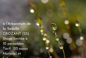 Samedi 19 et dimanche 20  septembre 2020  – STAGE PHOTOGRAPHIQUE
