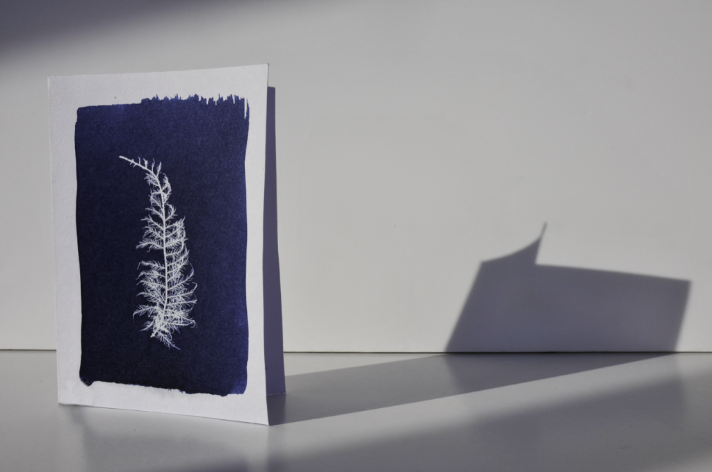 WORKSHOP - Paper Cyanotypes