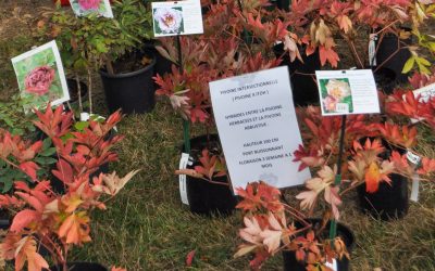 17 octobre & 18 octobre – JOURNEES DES PLANTES