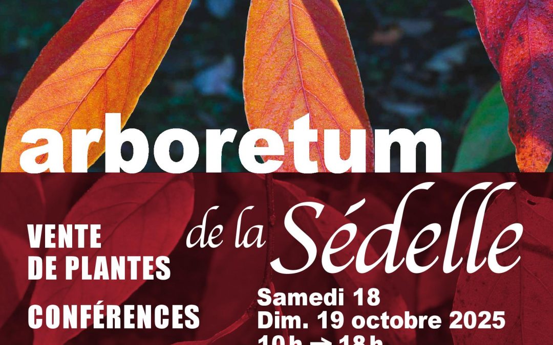 samedi 18 et dimanche 19 octobre – JOURNEES DES PLANTES