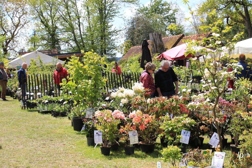 PLANT DAYS