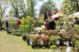 JOURNEES DES PLANTES
