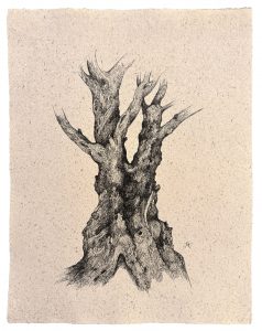 Exposition Les Arbres – Pierre FEUILLATRE