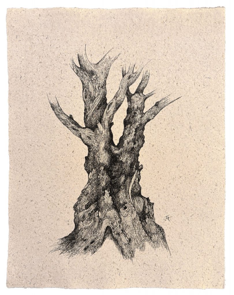 EXHIBITION — Trees by Pierre FEUILLATRE