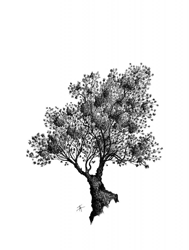 EXHIBITION — Trees by Pierre FEUILLATRE