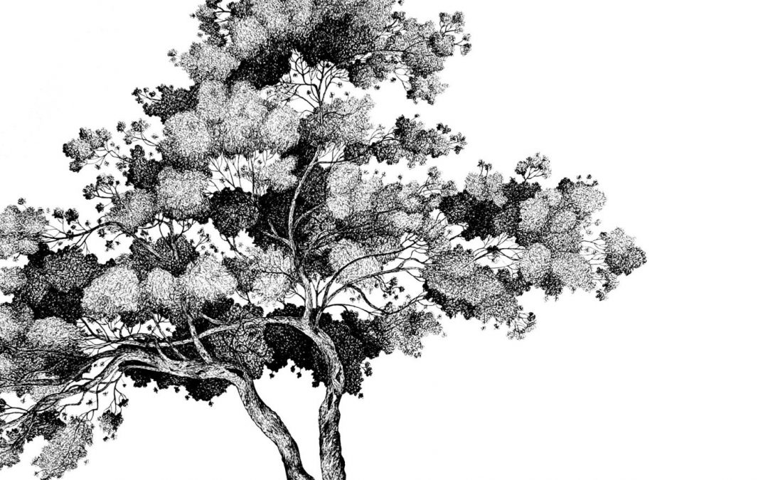 1 mai au 29 juin – EXPOSITION