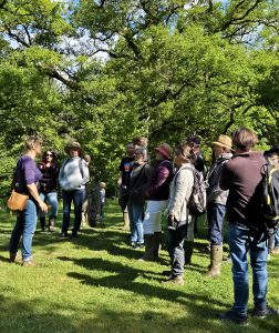 Atelier – Découverte des plantes sauvages comestibles et médicinales avec Juliette Martinet