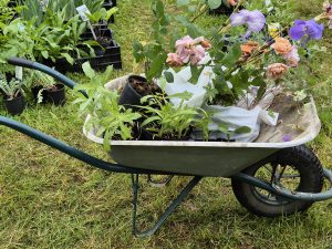 JOURNEES DES PLANTES