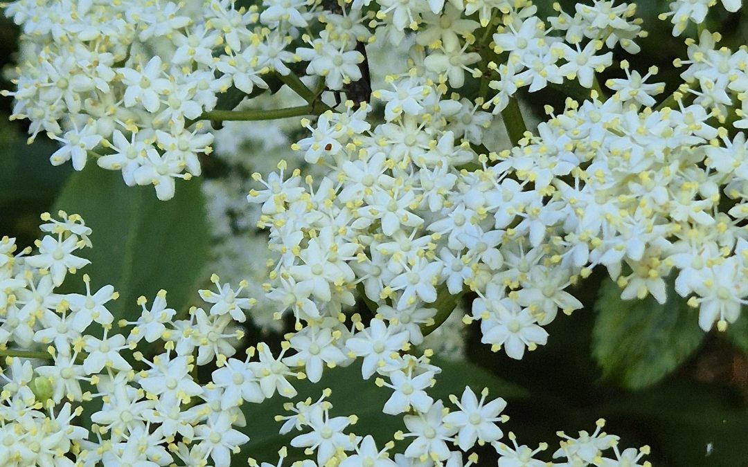 4 juillet – ATELIER