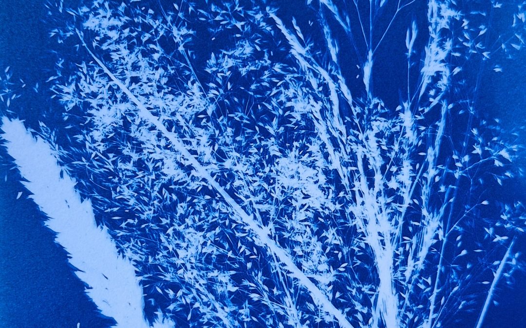 11 juillet – ATELIER