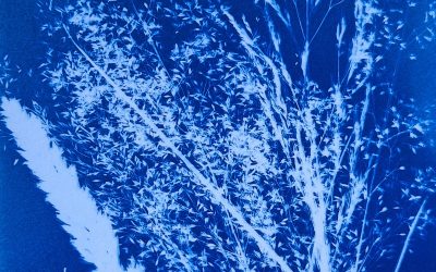 11 juillet – ATELIER