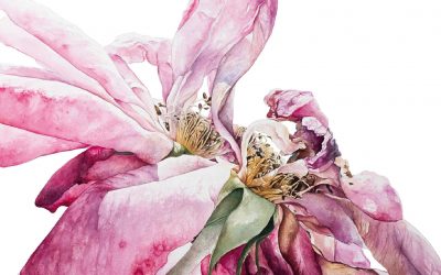 2 juillet au 26 septembre – EXPOSITION