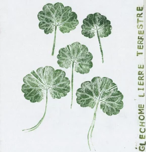 Atelier – Le Fol Inventaire