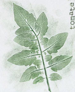 Atelier – Le Fol Inventaire