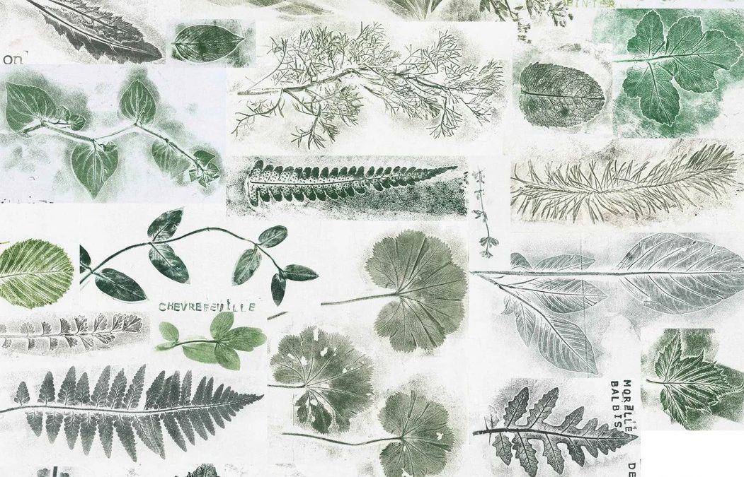 18 juillet – ATELIER