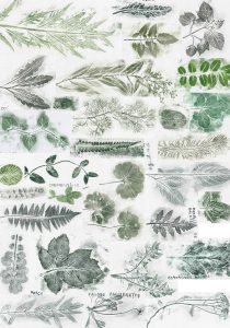 Atelier – Le Fol Inventaire