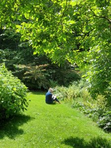 Stage de yoga – Journées d’équilibre Harmonie du corps et de l’esprit