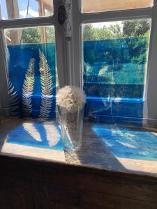 Atelier – Cyanotypes sur verre