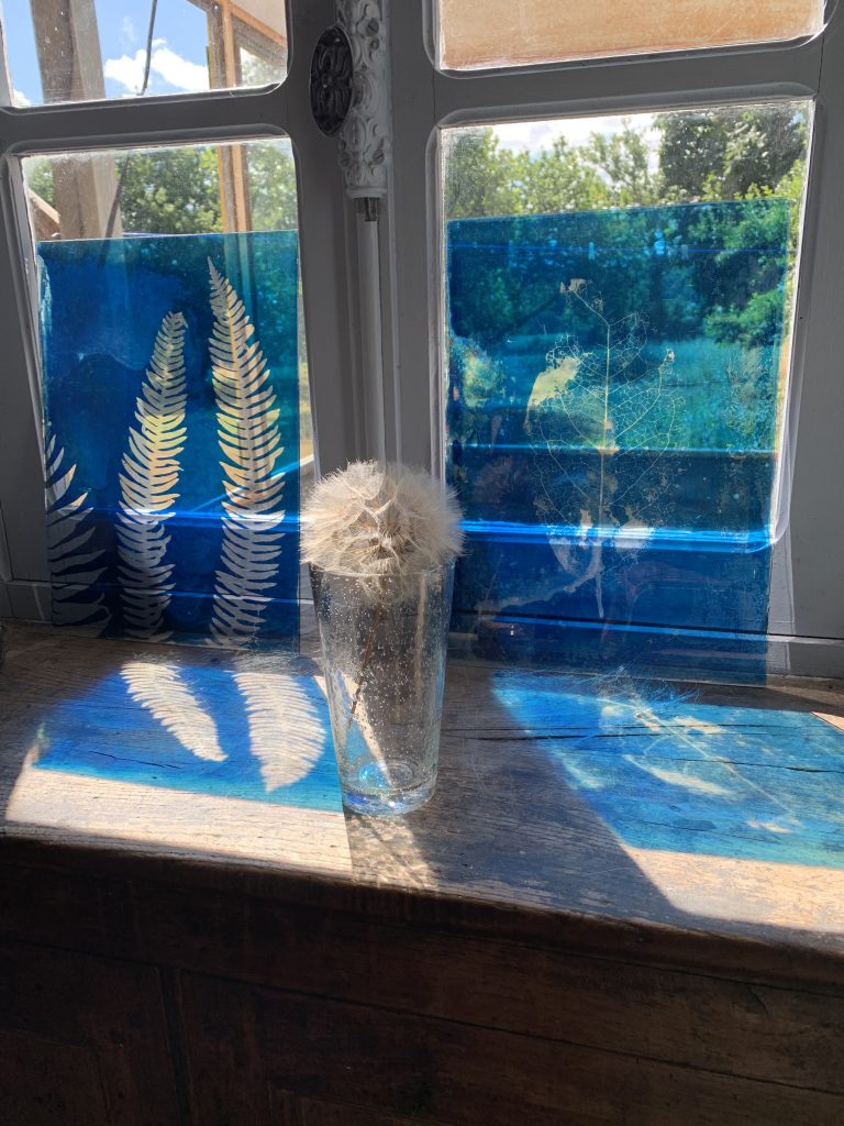 ATELIER – Cyanotypes sur verre