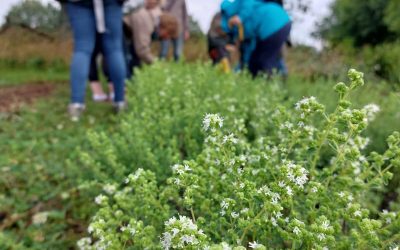 4 juillet – ATELIER