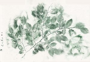 WORKSHOP - "La FOL inventaire" Leaf Printing