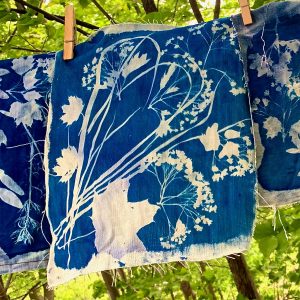 Atelier – Cyanotypes sur textile