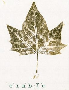 WORKSHOP - "La FOL inventaire" Leaf Printing