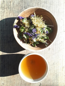 Atelier – Confection de remèdes médicinaux à base de plantes sauvages