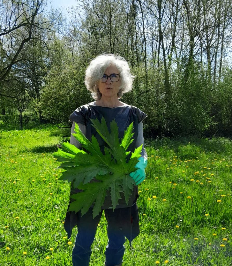 EXPOSITION – Nous, la verdure de Anne BROCHOT